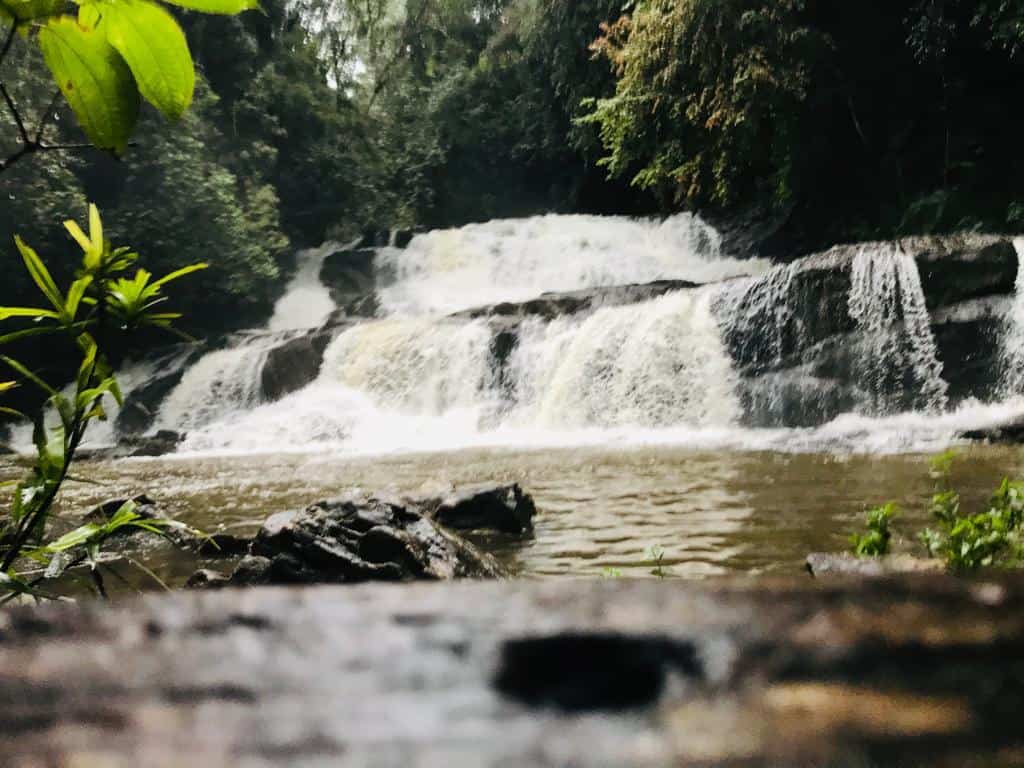 Sinharaja Forest Reserve